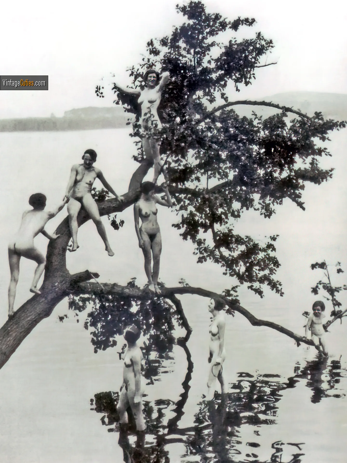 A bunch of nude hairy antique ladies on the tree by the lake