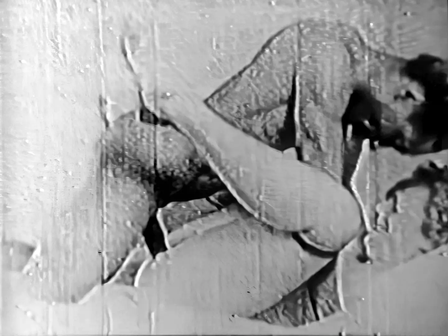 Two girls got group sex with a black cock